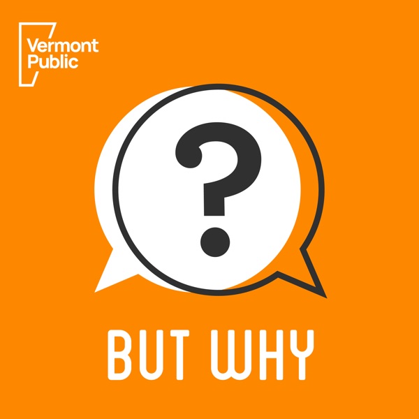 But Why: Curious Kids cover art